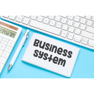 business system