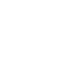 article4checkerAsset 24