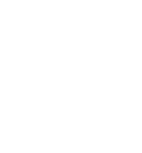 slfinanceAsset 46