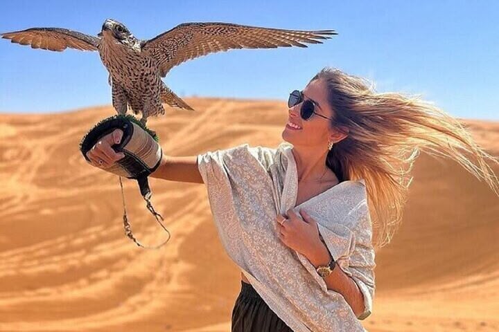 Dubai Falcon Display